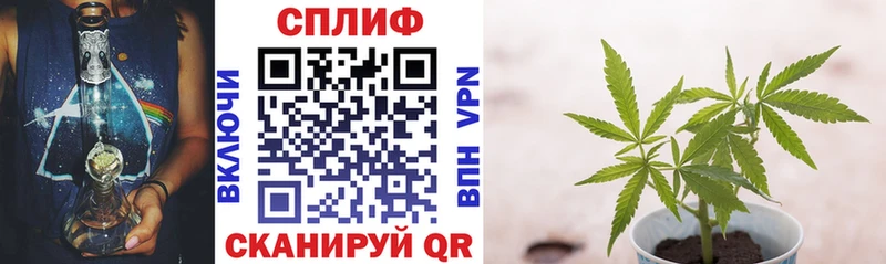 Где продают наркотики Борзя А ПВП МАРИХУАНА Кокаин АМФЕТАМИН Гашиш Мефедрон