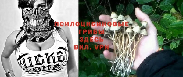 круглые Алексеевка