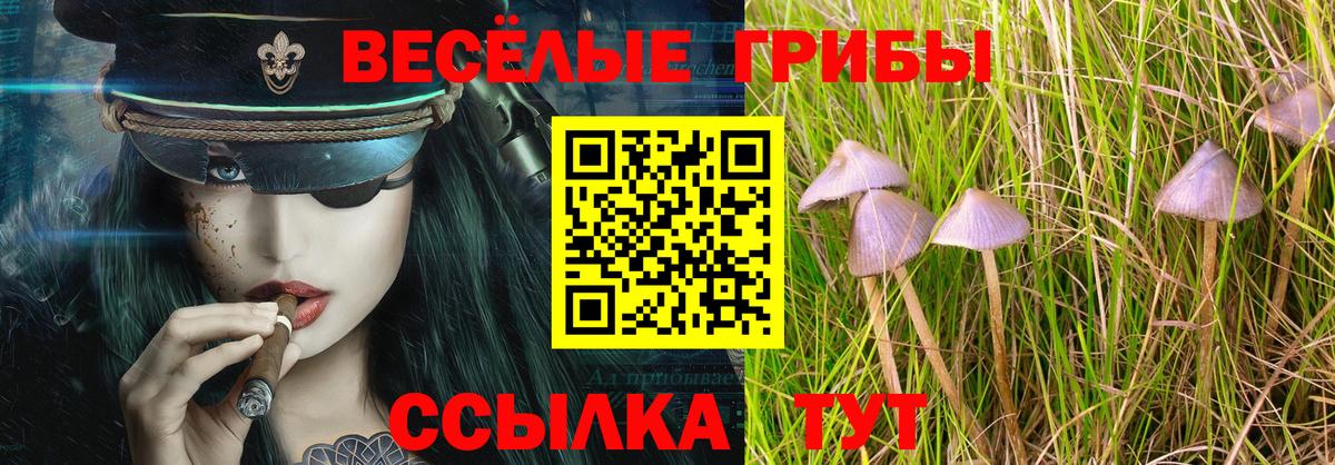 Галлюциногенные грибы Cubensis  Вход с VPN  Борзя 